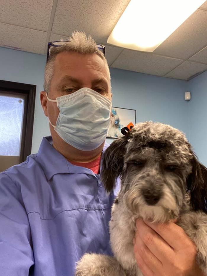 Poodles To Hounds, LLC - Mount Vernon, IL