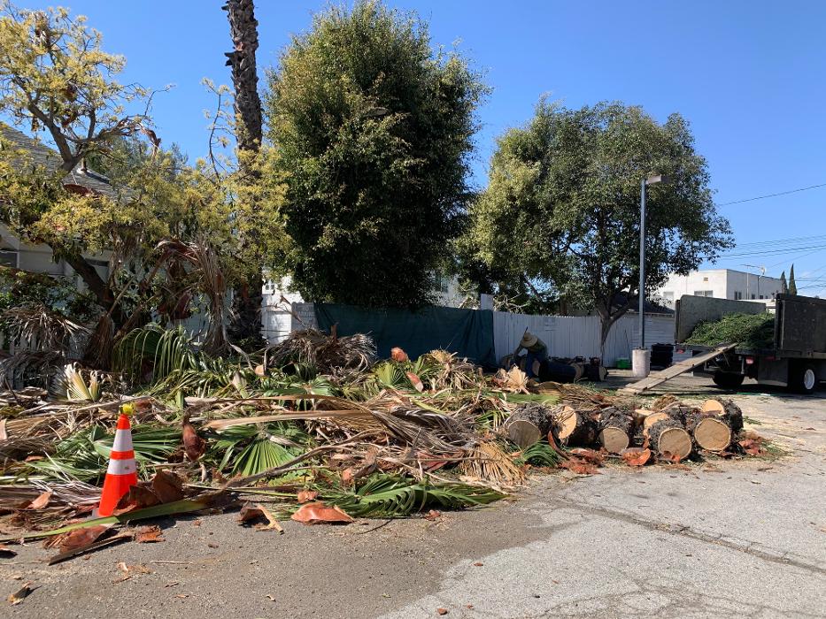 Figueroa Landscaping - Carson, CA