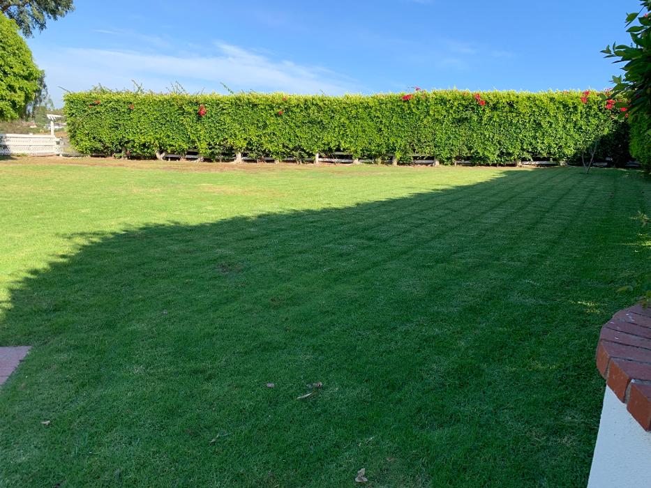 Figueroa Landscaping - Carson, CA
