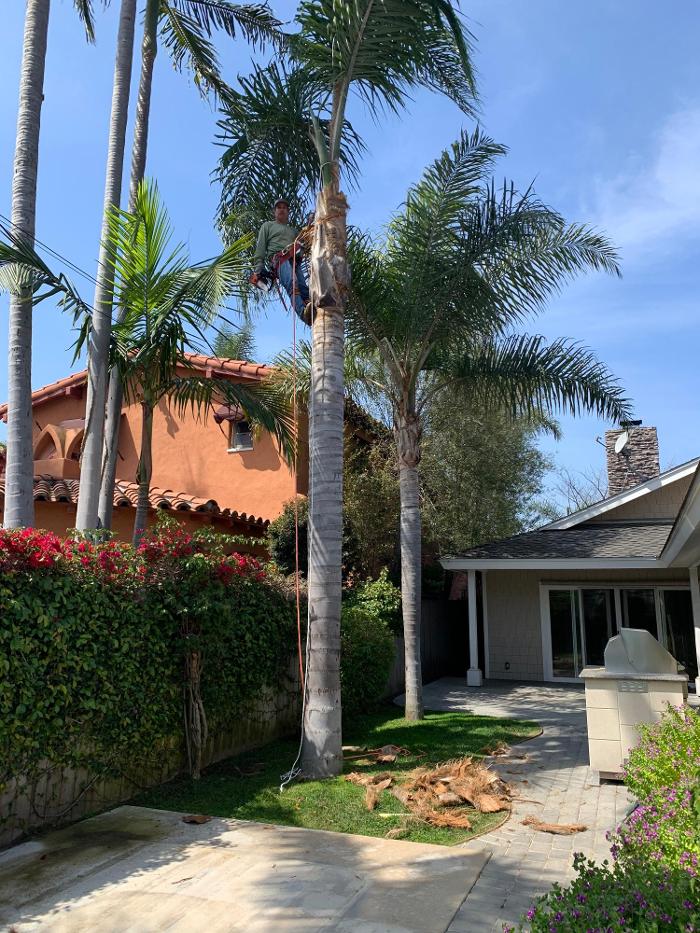Figueroa Landscaping - Carson, CA