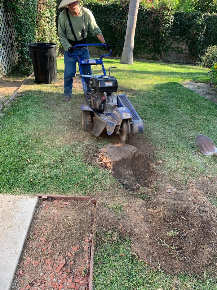 Figueroa Landscaping - Carson, CA