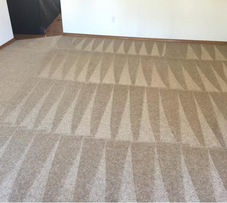 Clear Water Carpet - Everett, WA