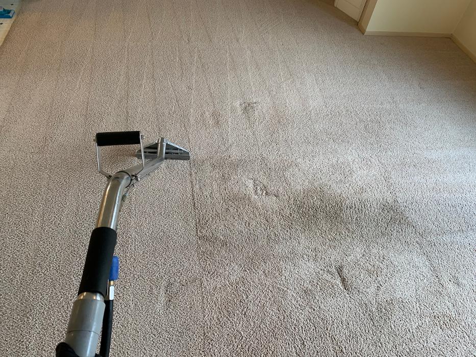 Clear Water Carpet - Everett, WA
