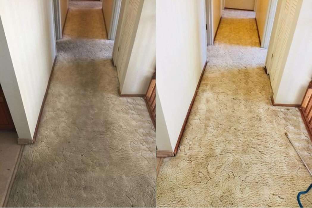 Clear Water Carpet - Everett, WA