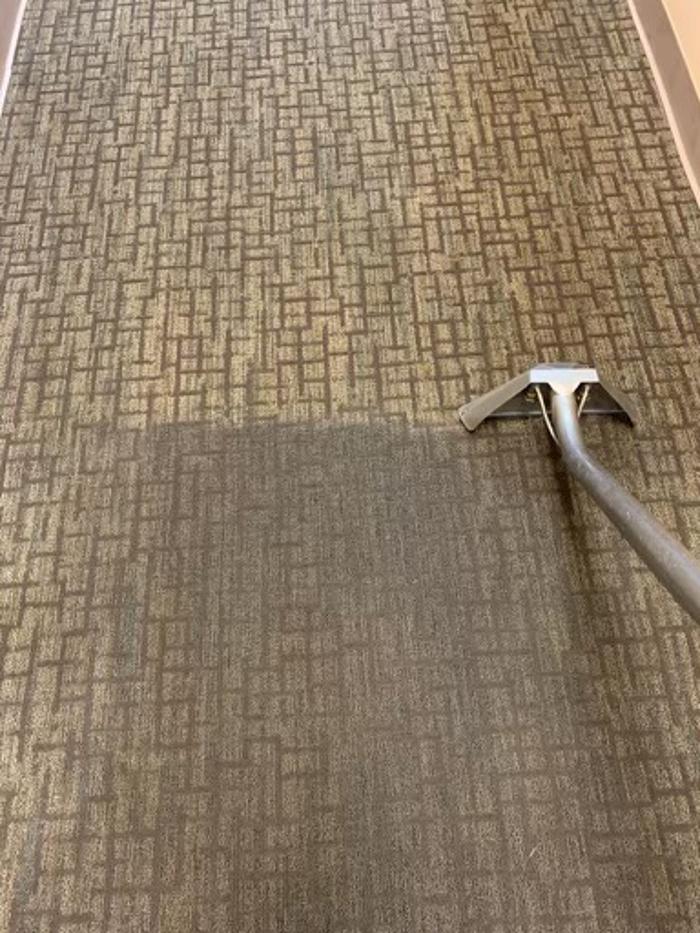 Clear Water Carpet - Everett, WA