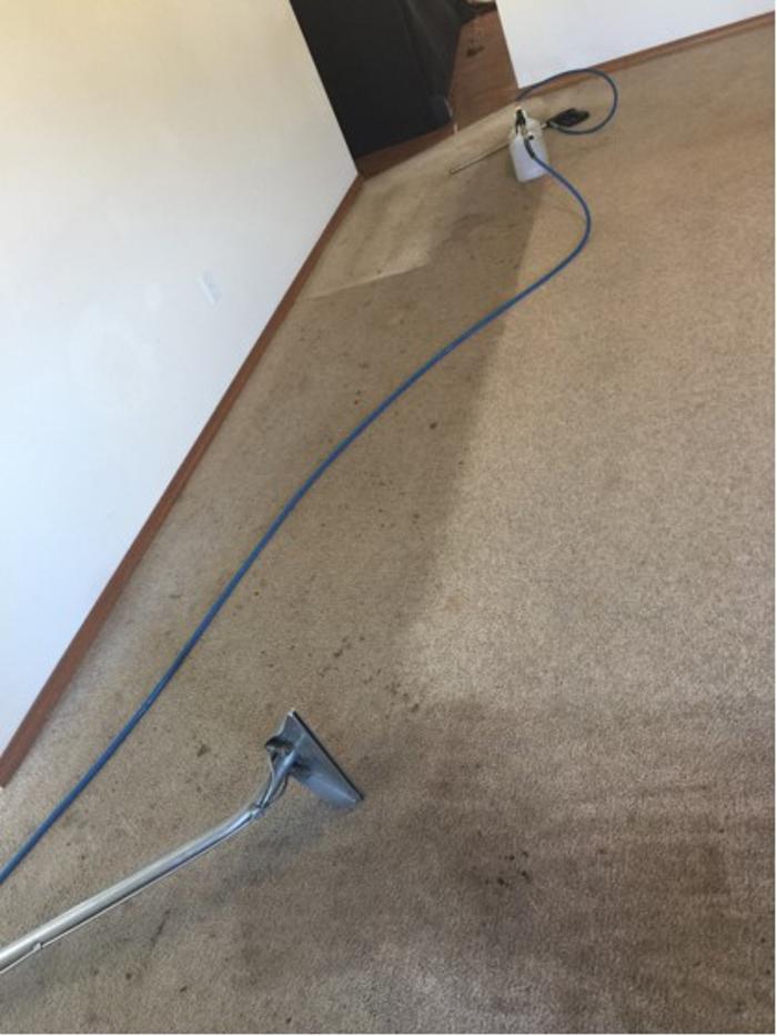 Clear Water Carpet - Everett, WA