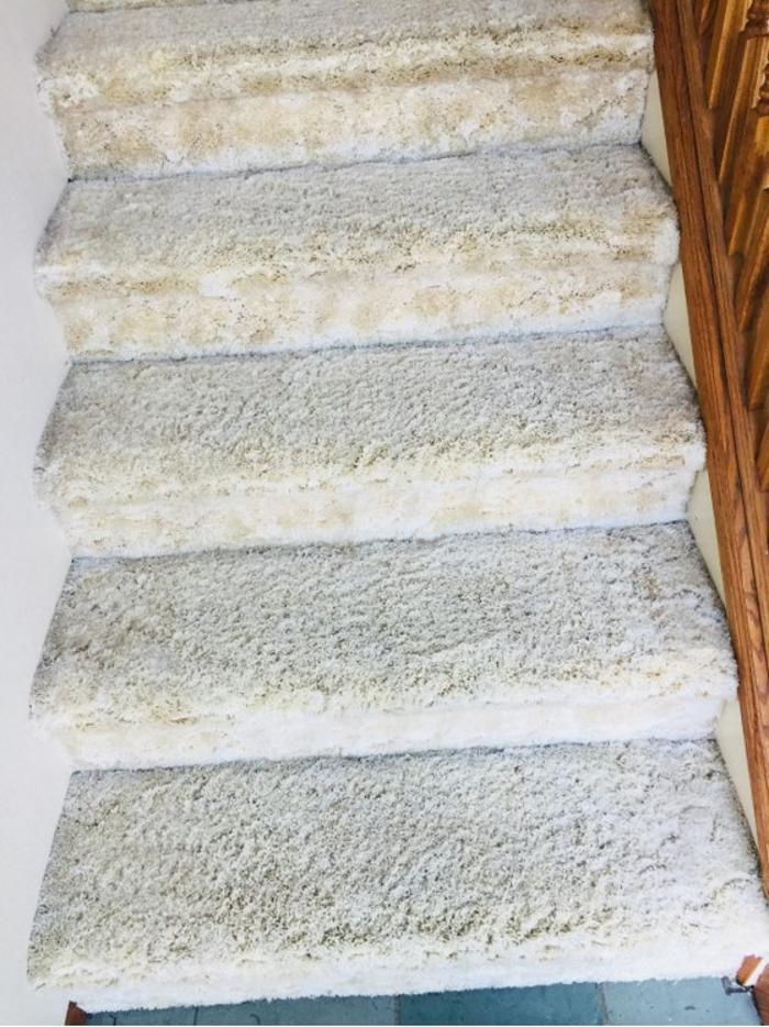 Clear Water Carpet - Everett, WA