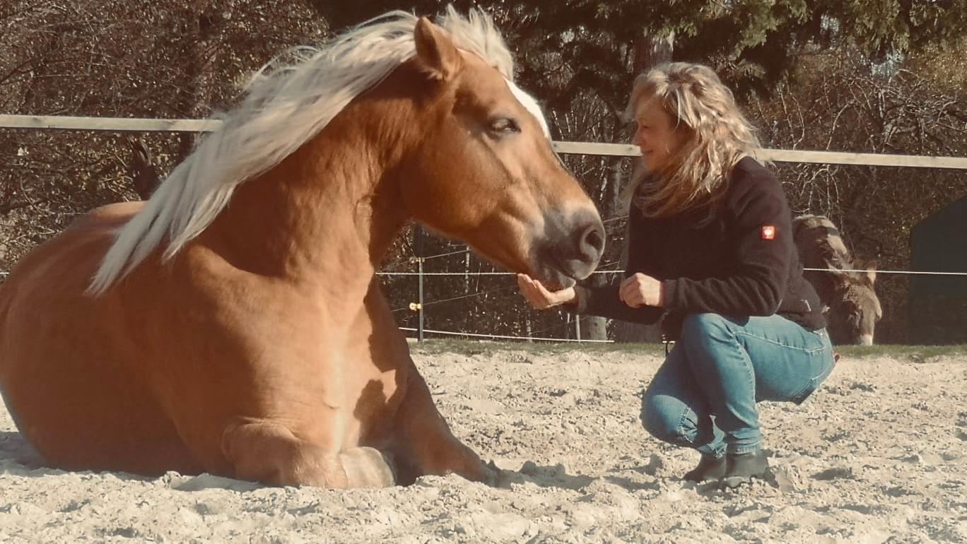 Mobile Tierheilpraxis und Tierphysiotherapie Kerstin Junge, Hans-Sachs-Straße in Zwickau