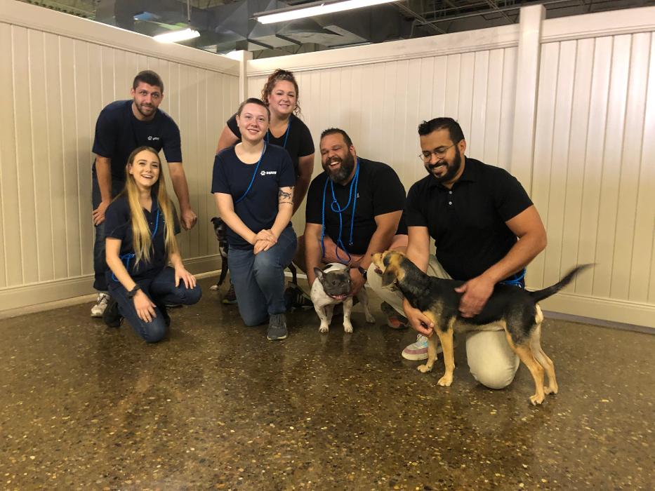 Hounds Town Central Bucks - Chalfont, PA