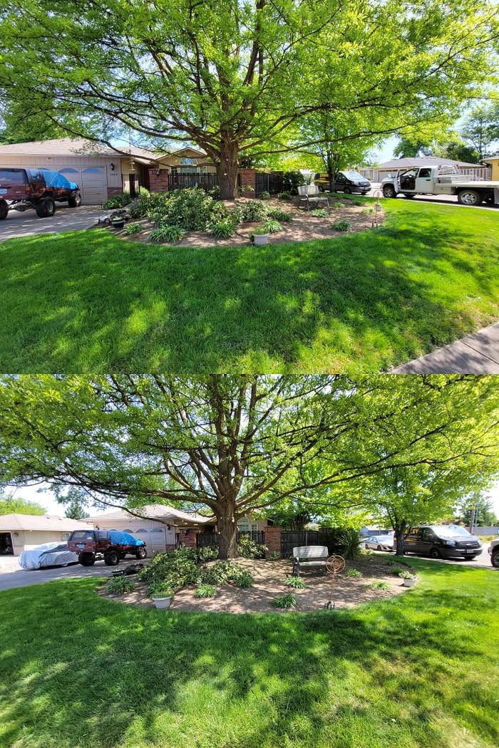 Urban Tree Restoration LLC - Medford, OR