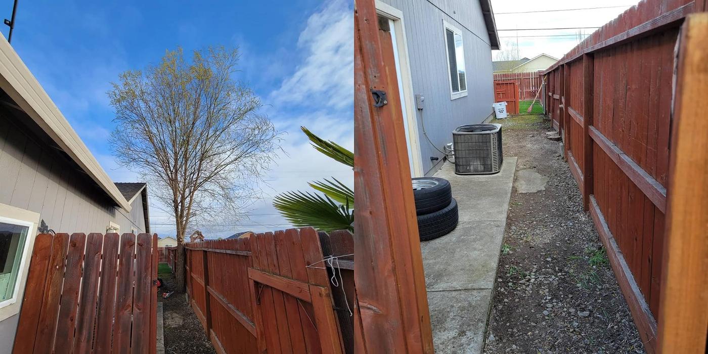 Urban Tree Restoration LLC - Medford, OR
