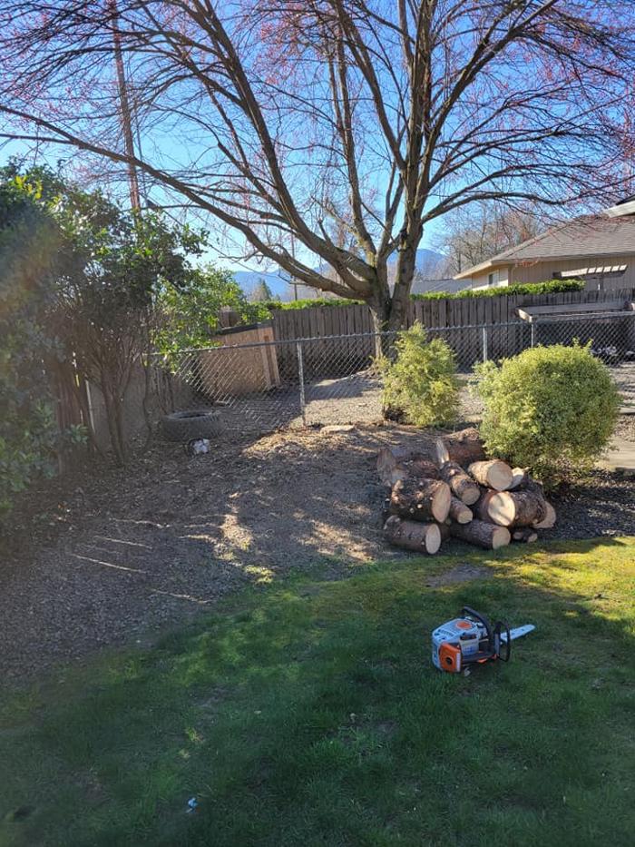 Urban Tree Restoration LLC - Medford, OR