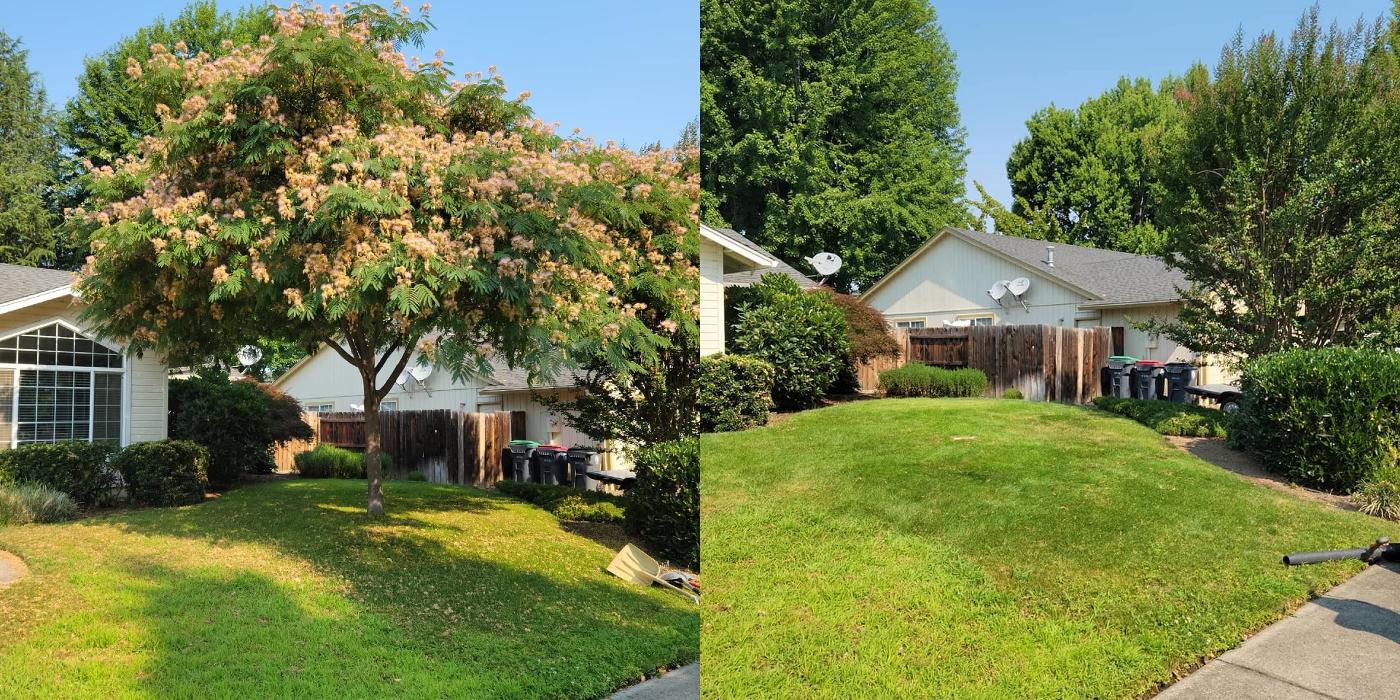 Urban Tree Restoration LLC - Medford, OR