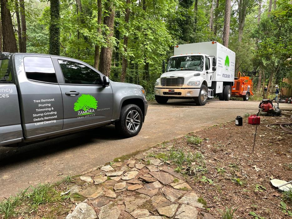 Zamora Tree Service - Lawrenceville, GA