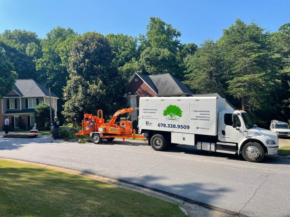 Zamora Tree Service - Lawrenceville, GA