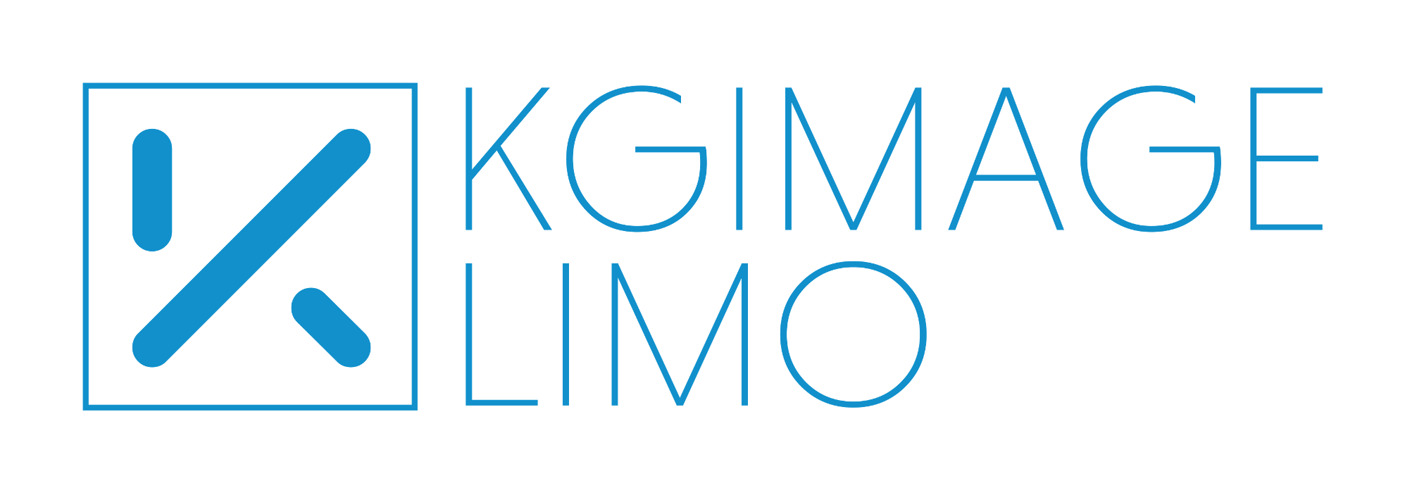 KG Image Limo - South Ozone Park, NY