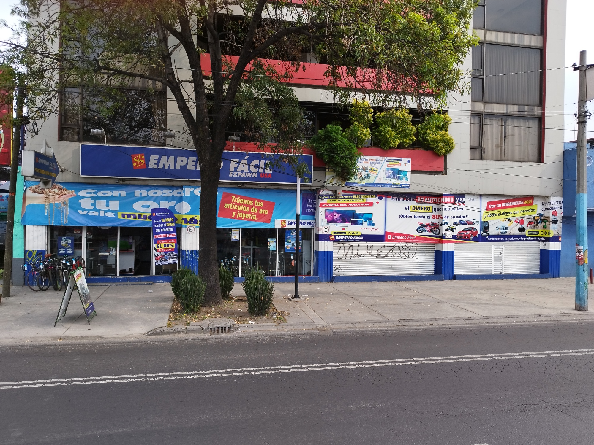 Galería en miniatura