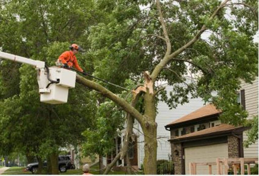 CC Property Solutions - Toledo, OH