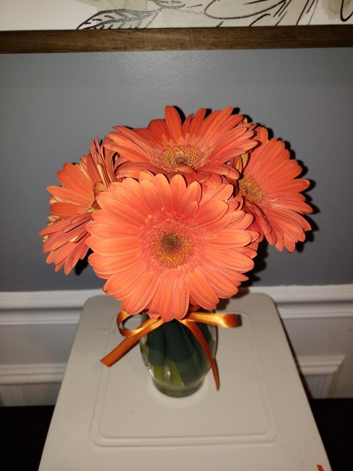 Zuzu's Petals - Franklin, MA