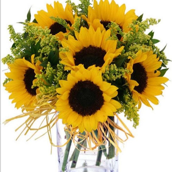 Zuzu's Petals - Franklin, MA