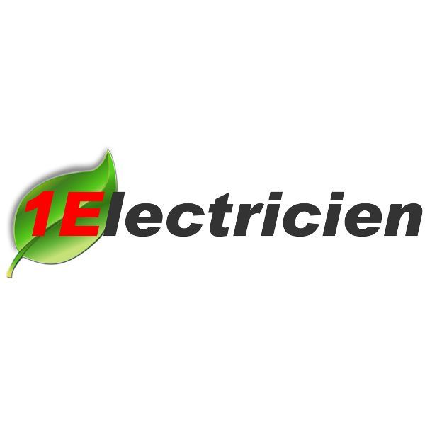 1Electricien Fabrication et commerce de gros