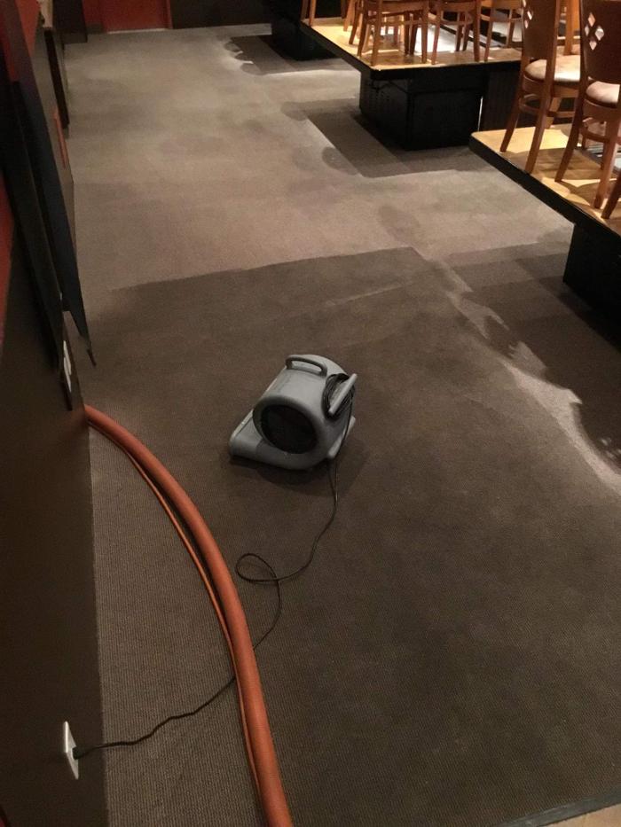 Peak Carpet Cleaning - Bountiful, UT