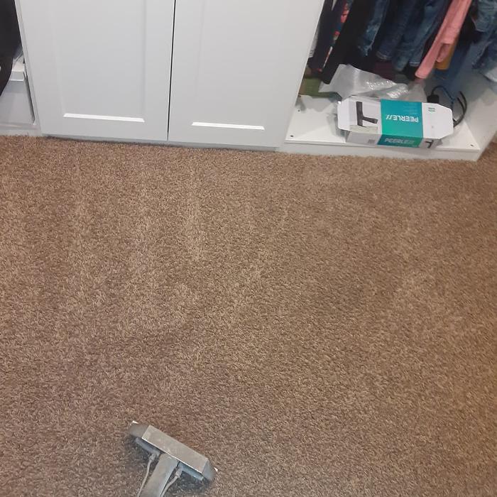 Peak Carpet Cleaning - Bountiful, UT