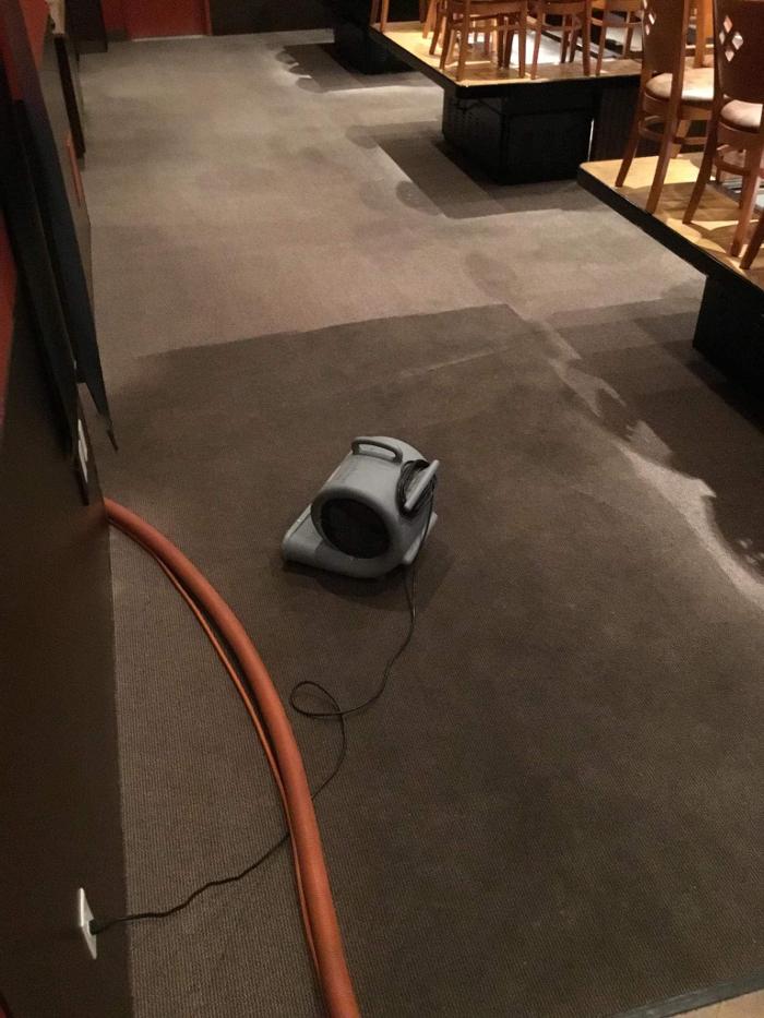 Peak Carpet Cleaning - Bountiful, UT