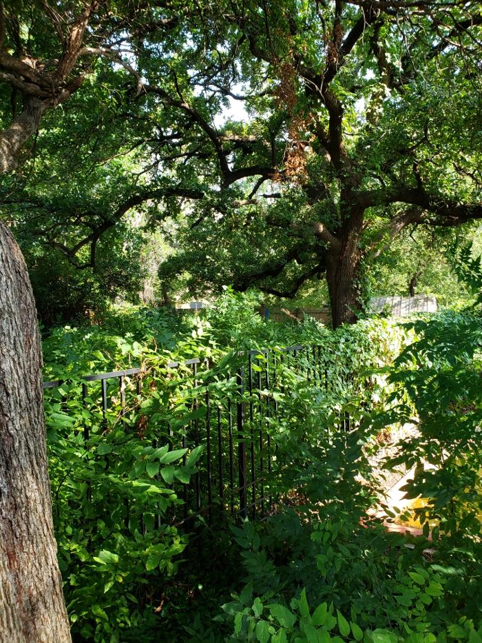 Allen's Hauling & Landscaping - McKinney, TX