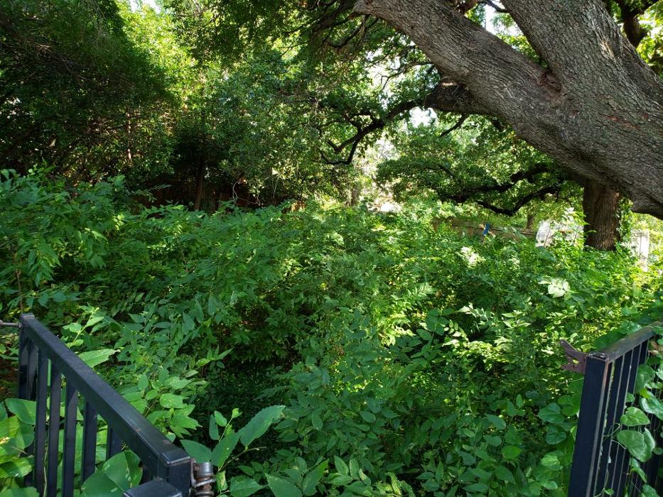 Allen's Hauling & Landscaping - McKinney, TX