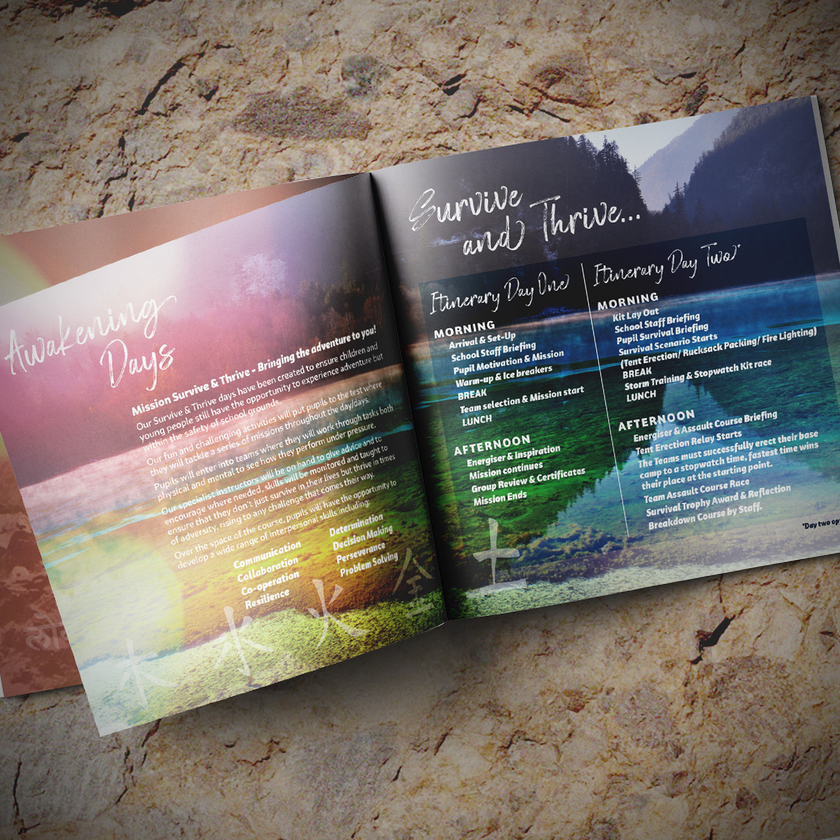 Brochure Design