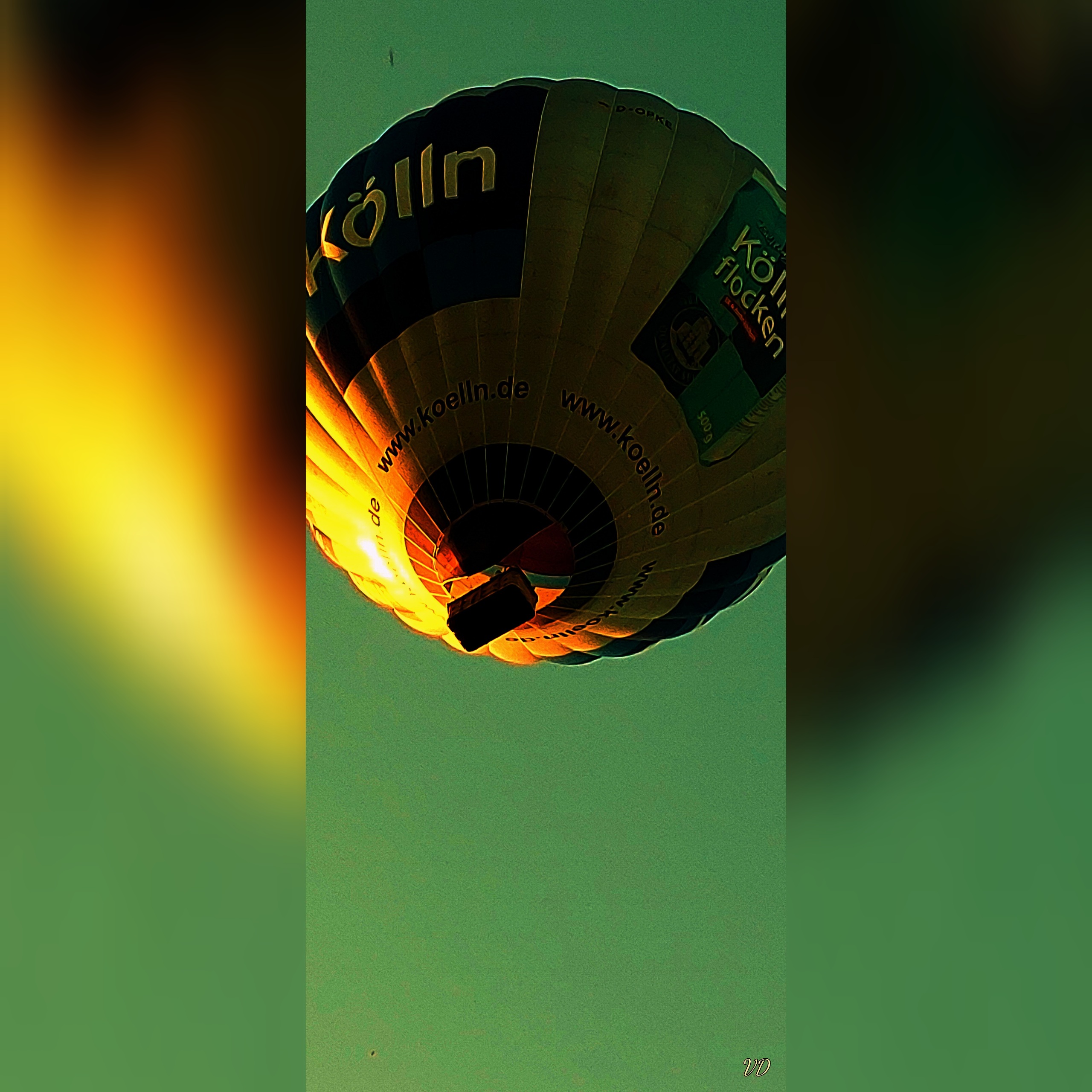 Vittaria-Design-Shop.org