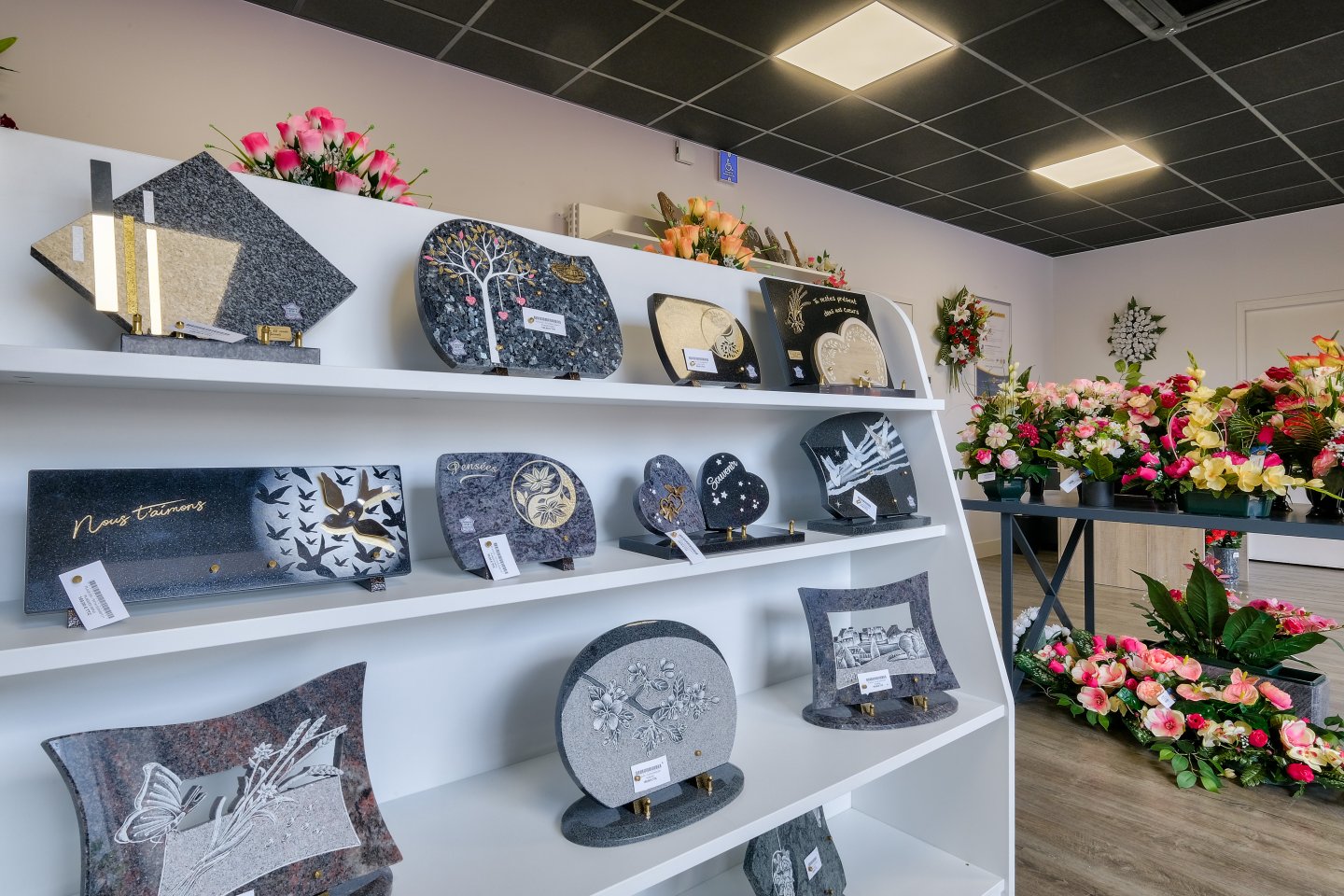 Miniature de la galerie