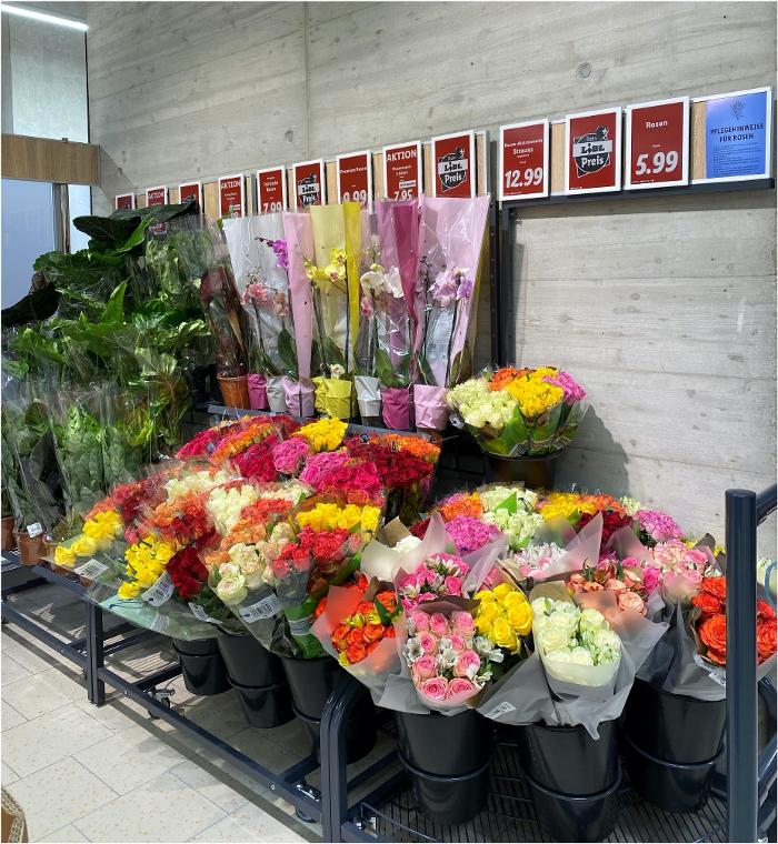 Lidl Schweiz, Im Langacker in Baden-Dättwil