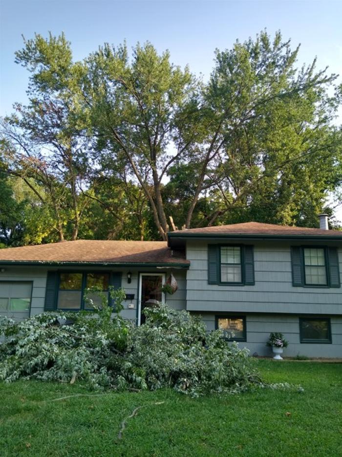 Affordable Moore's Tree Services LLC - Lees Summit, MO