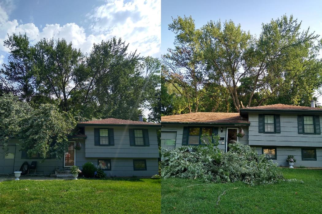 Affordable Moore's Tree Services LLC - Lees Summit, MO
