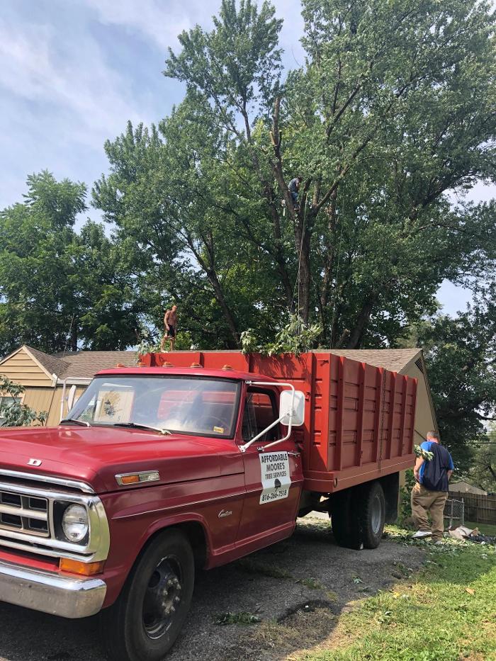 Affordable Moore's Tree Services LLC - Lees Summit, MO