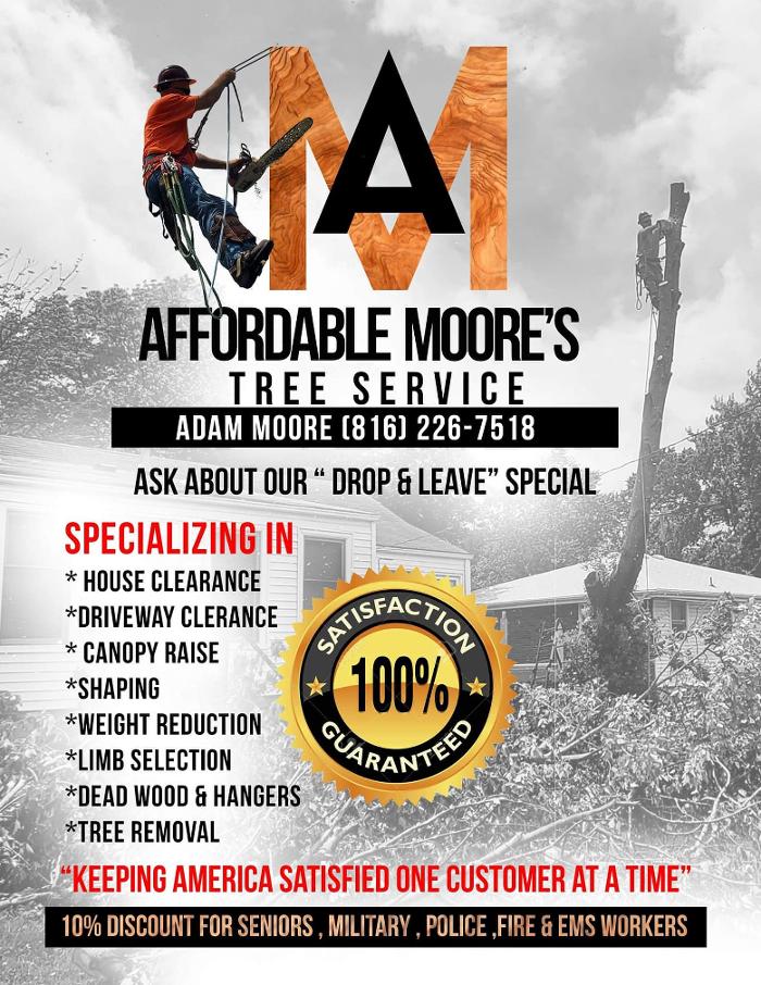 Affordable Moore's Tree Services LLC - Lees Summit, MO