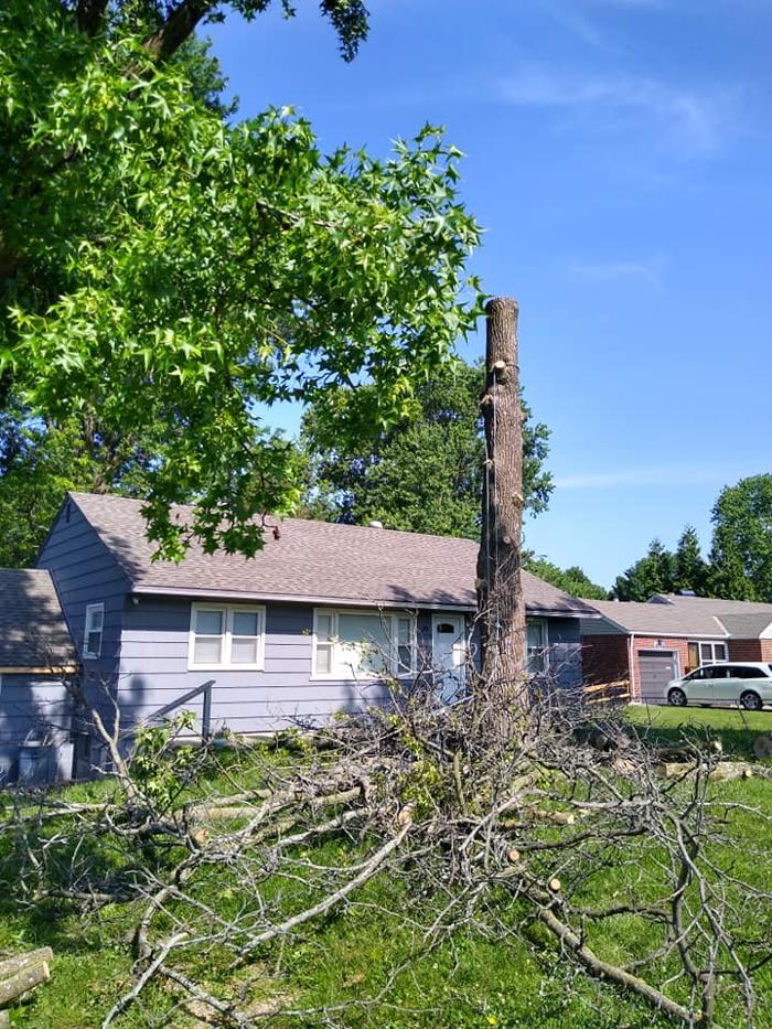 Affordable Moore's Tree Services LLC - Lees Summit, MO