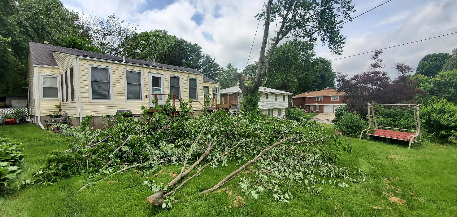 Affordable Moore's Tree Services LLC - Lees Summit, MO