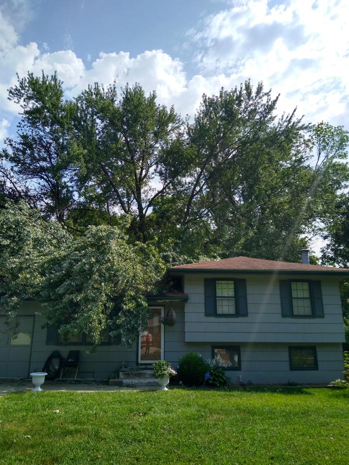 Affordable Moore's Tree Services LLC - Lees Summit, MO