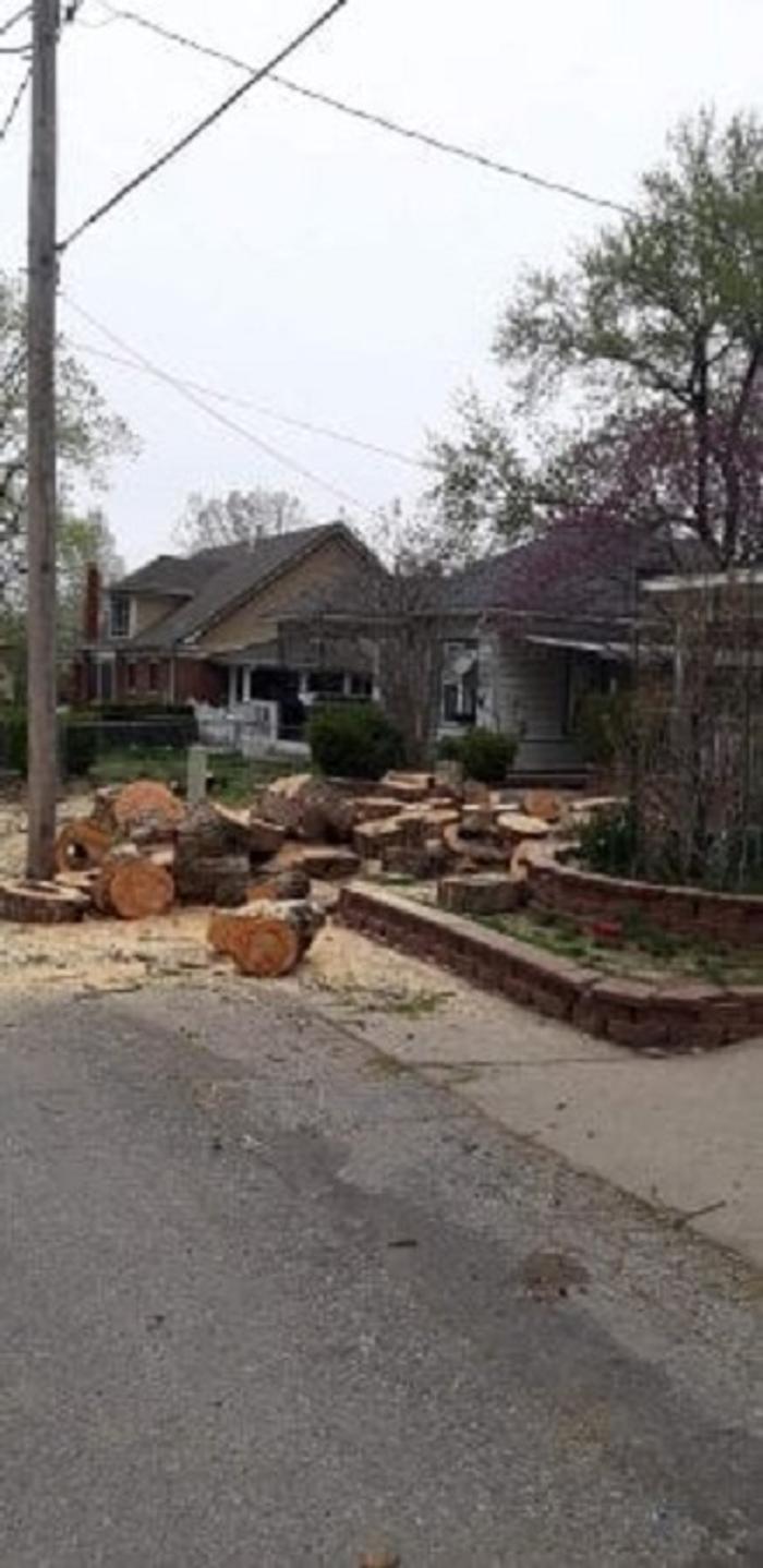 Affordable Moore's Tree Services LLC - Lees Summit, MO