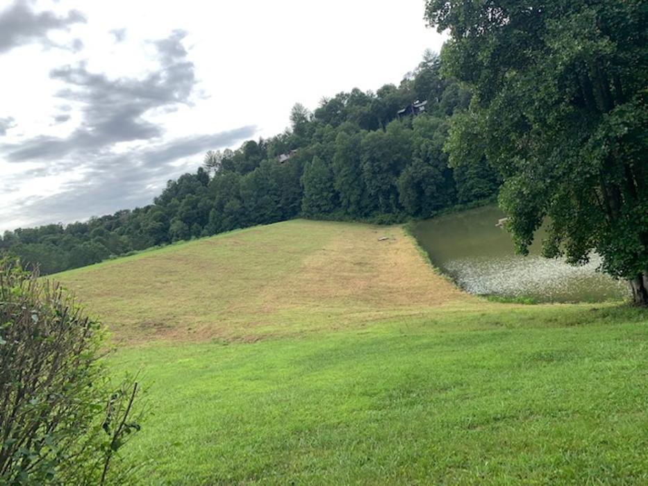 Morales Lawn Care Service - Ellijay, GA