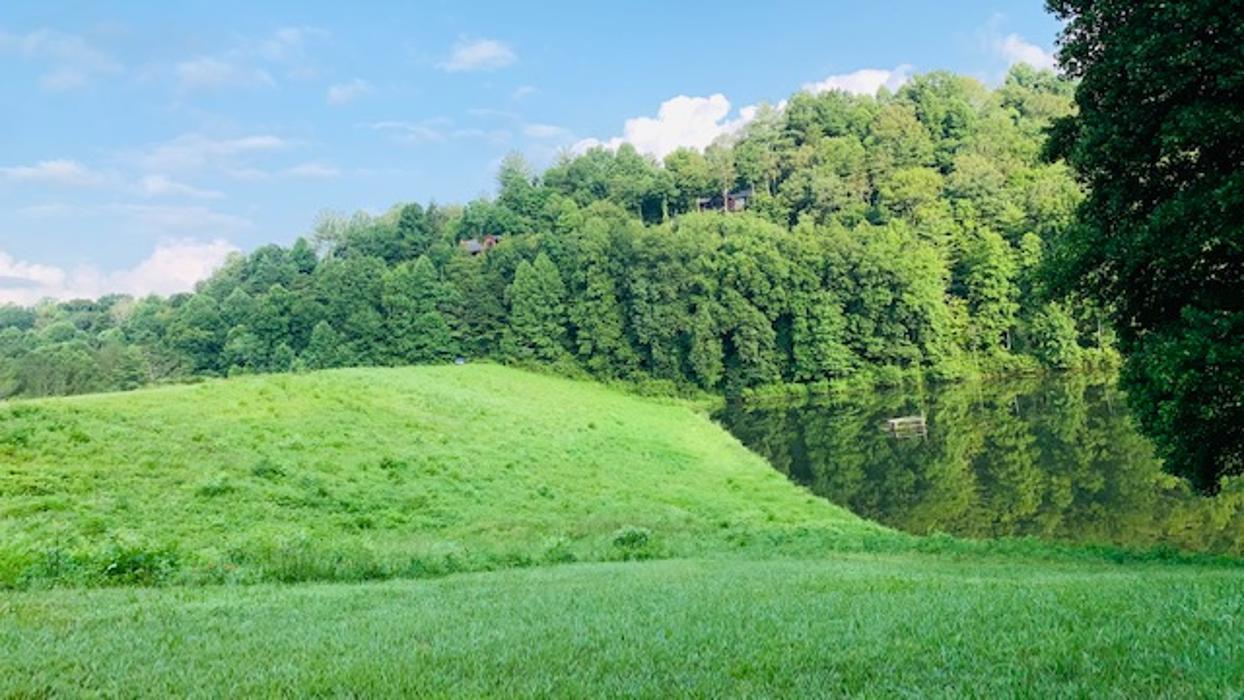 Morales Lawn Care Service - Ellijay, GA