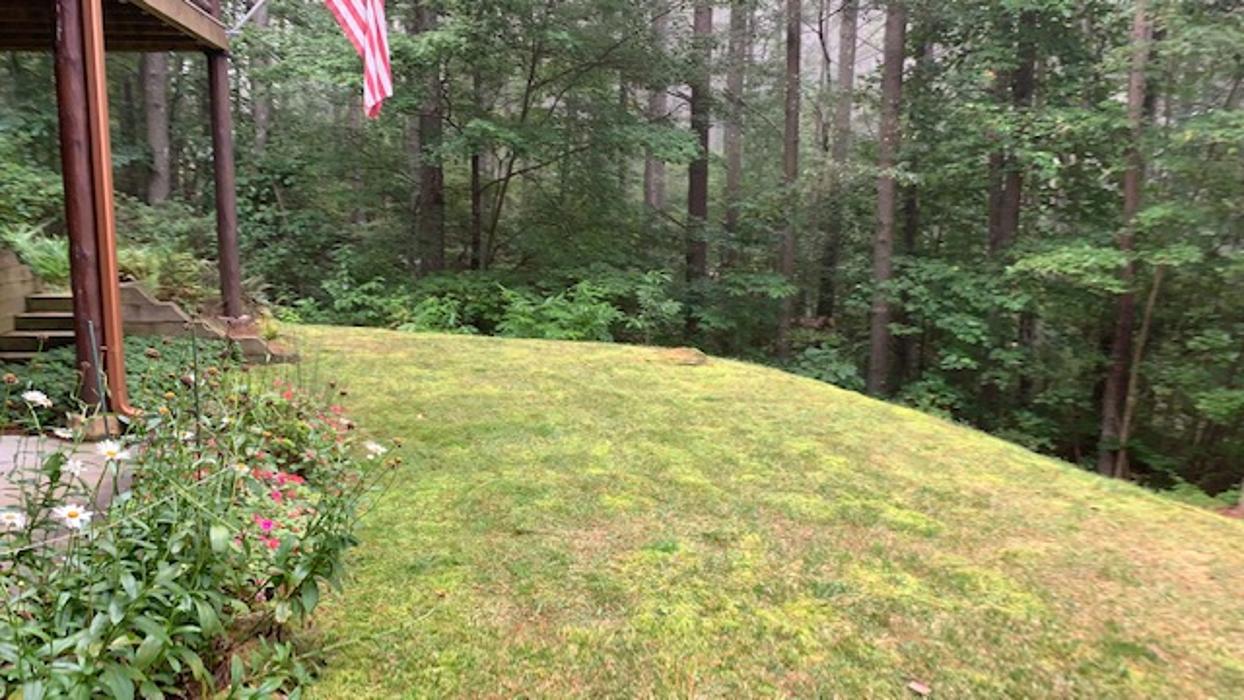 Morales Lawn Care Service - Ellijay, GA