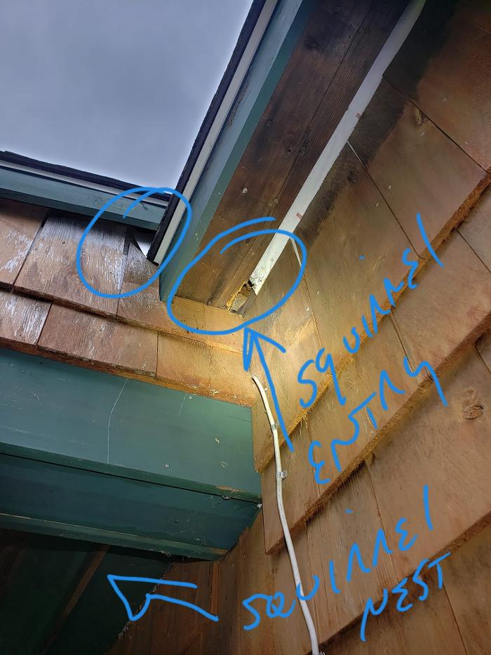 Pest Patrol Inc - Johnston, RI