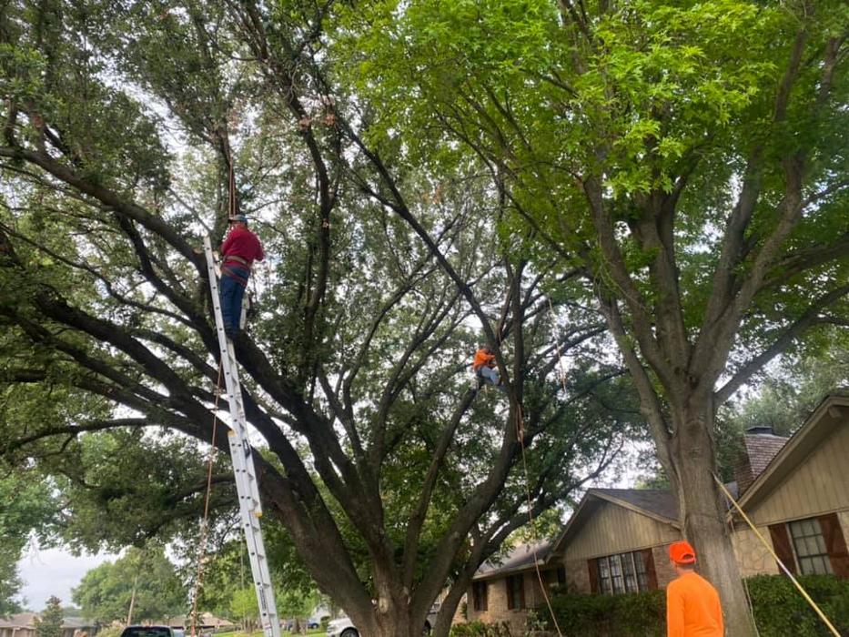 Brotherhood Property Managment Group LLC - Forney, TX