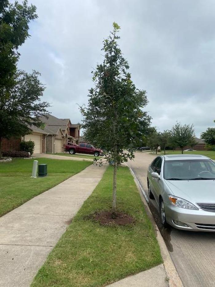 Brotherhood Property Managment Group LLC - Forney, TX