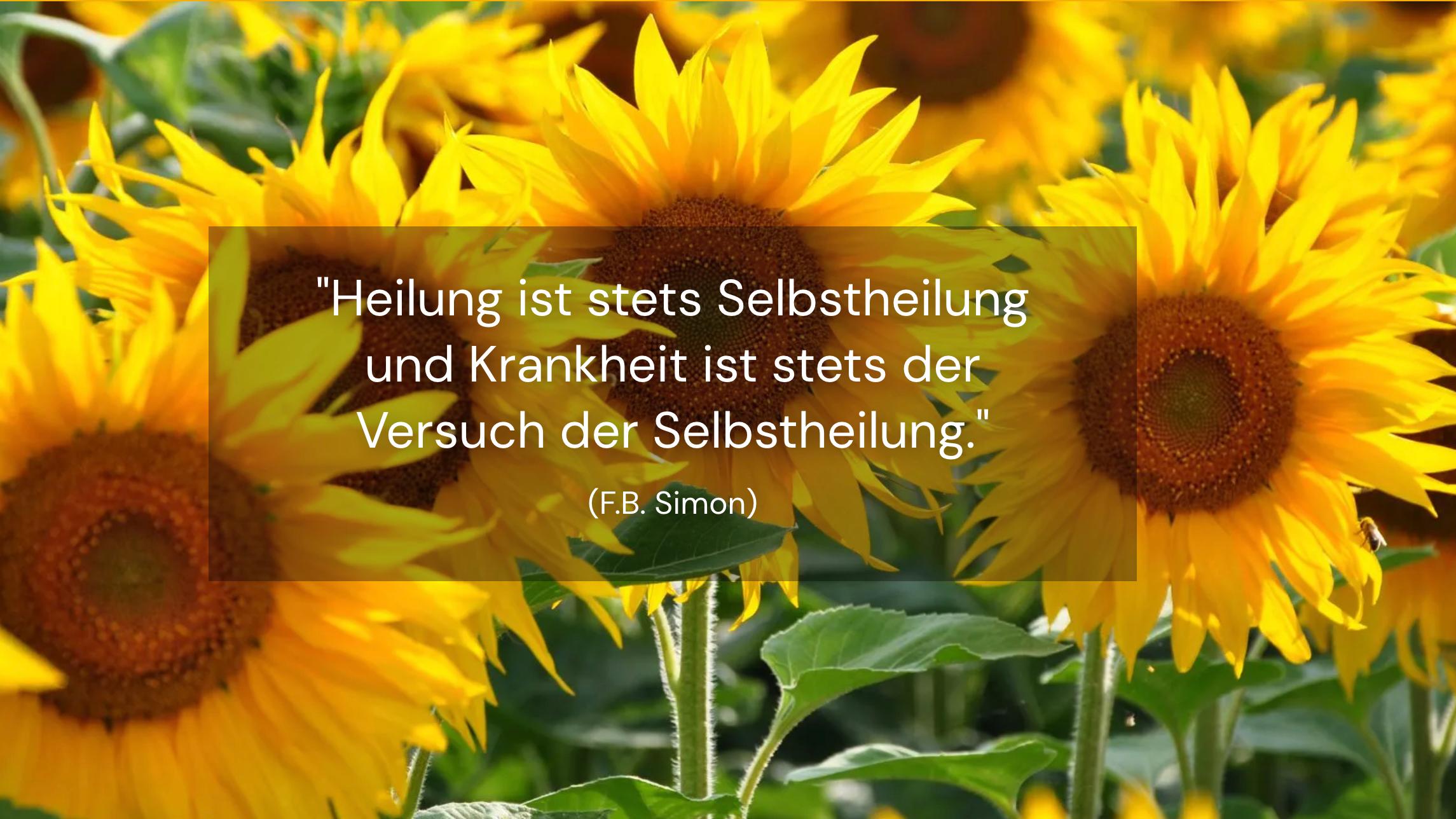 Dr. Oswald Hosny, Maria-Theresien-Straße in Innsbruck