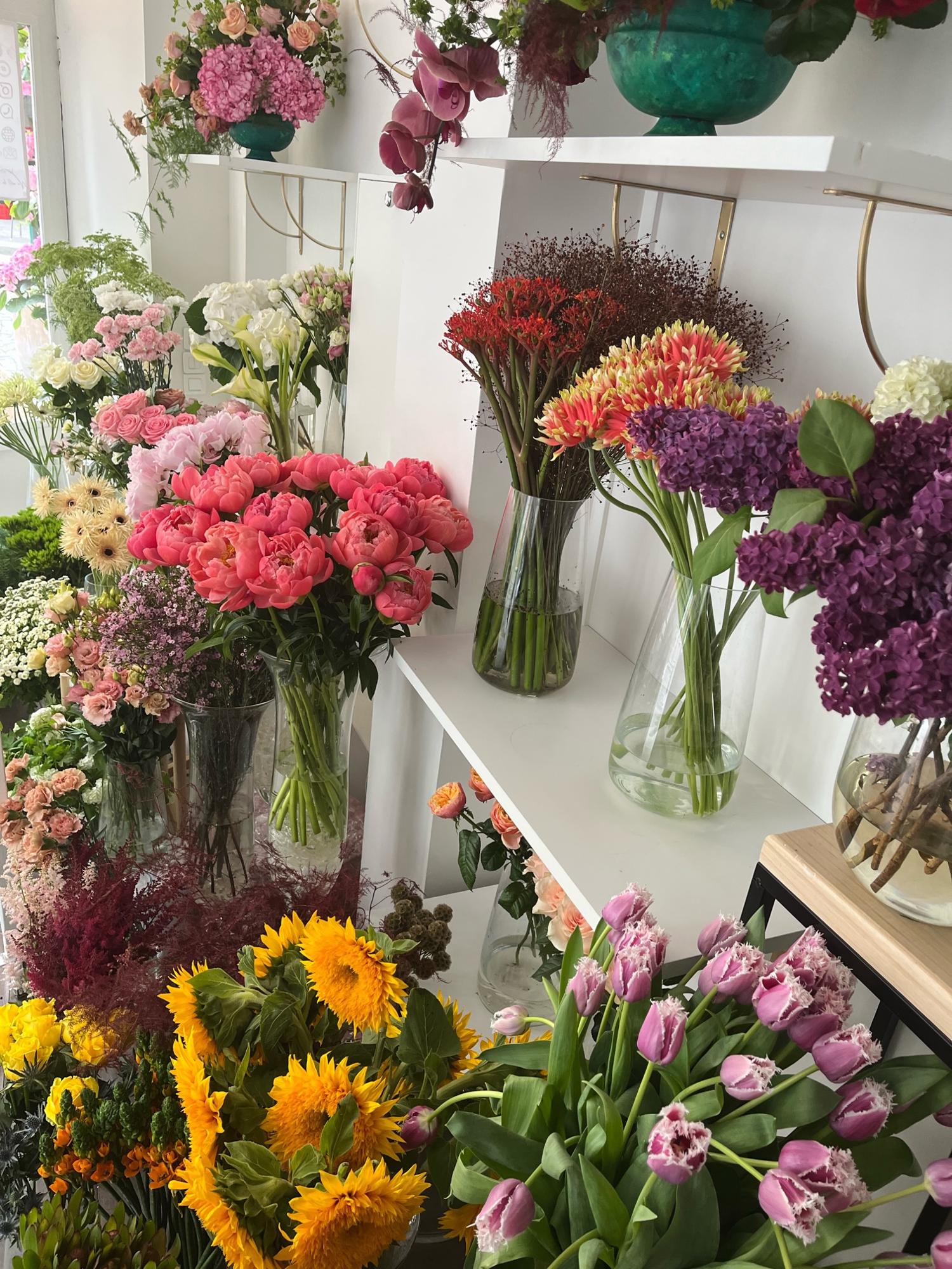 Miniature de la galerie